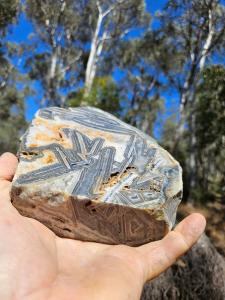 Polished Wyloo Agate slab WA155