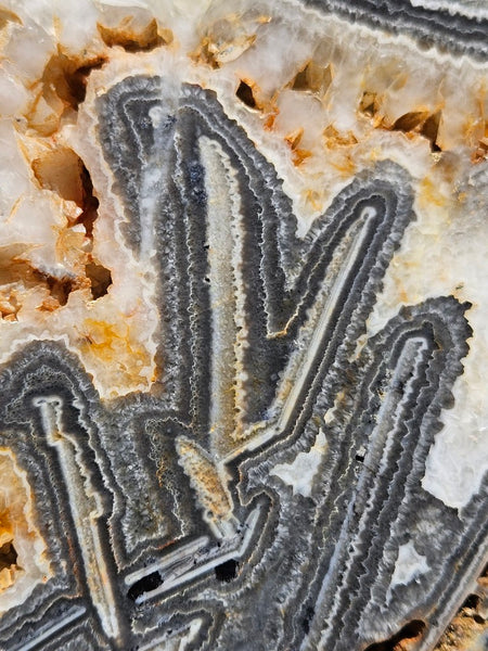 Polished Wyloo Agate slab WA155