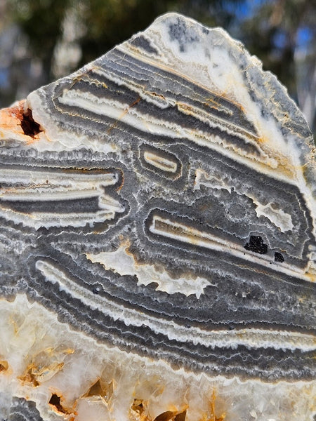 Polished Wyloo Agate slab WA155