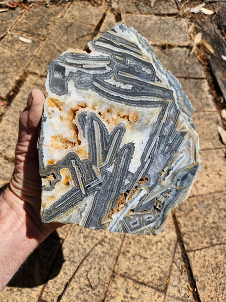 Polished Wyloo Agate slab WA155
