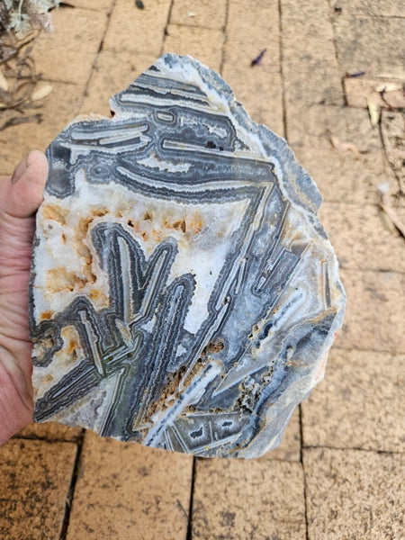 Polished Wyloo Agate slab WA155