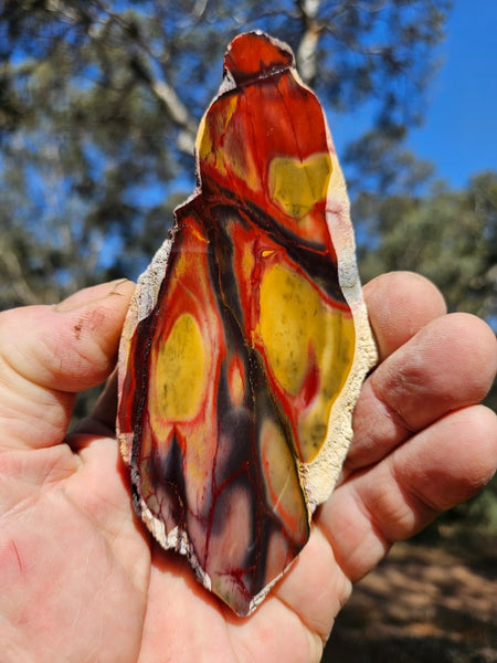 Polished  Mookaite slab MK573
