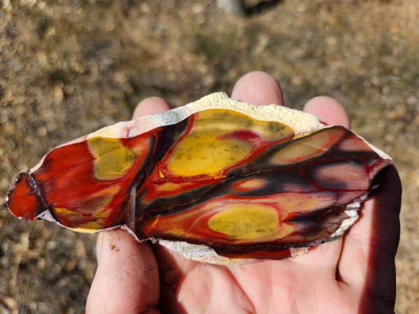 Polished  Mookaite slab MK573