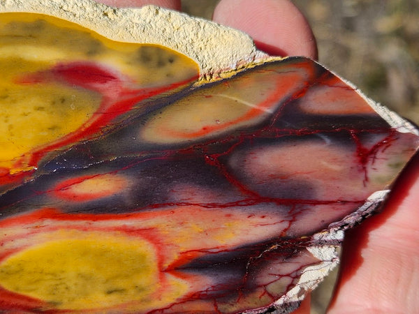 Polished  Mookaite slab MK573