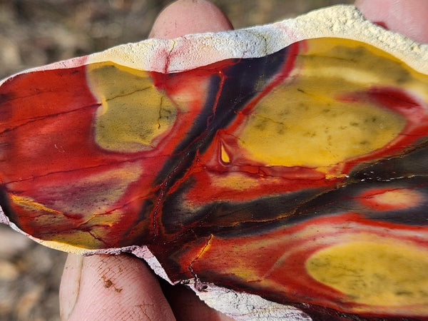 Polished  Mookaite slab MK573