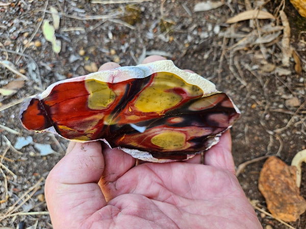 Polished  Mookaite slab MK573