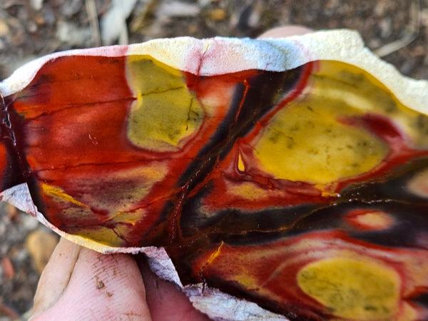 Polished  Mookaite slab MK573