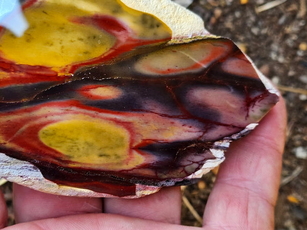 Polished  Mookaite slab MK573