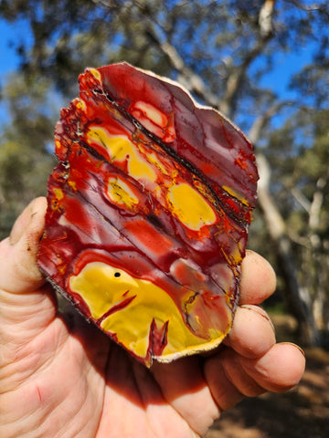 Polished  Mookaite slab MK574