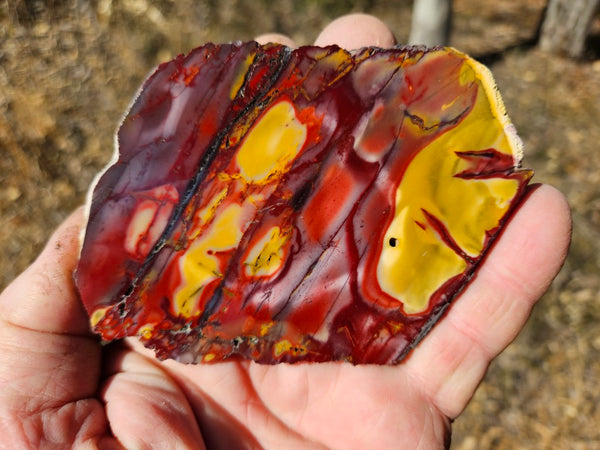 Polished  Mookaite slab MK574