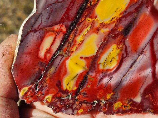 Polished  Mookaite slab MK574
