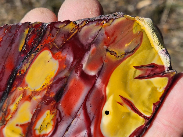 Polished  Mookaite slab MK574