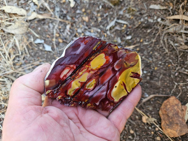 Polished  Mookaite slab MK574