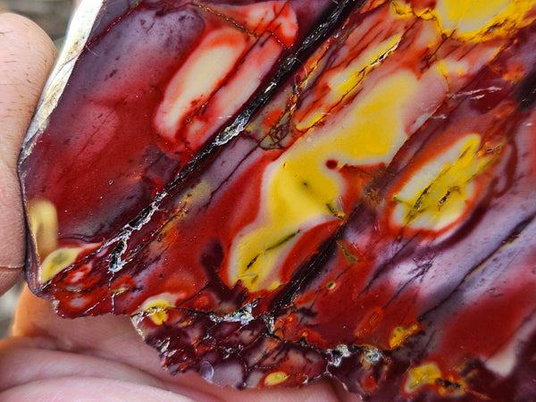 Polished  Mookaite slab MK574