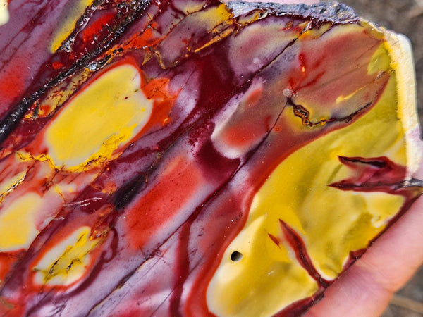 Polished  Mookaite slab MK574