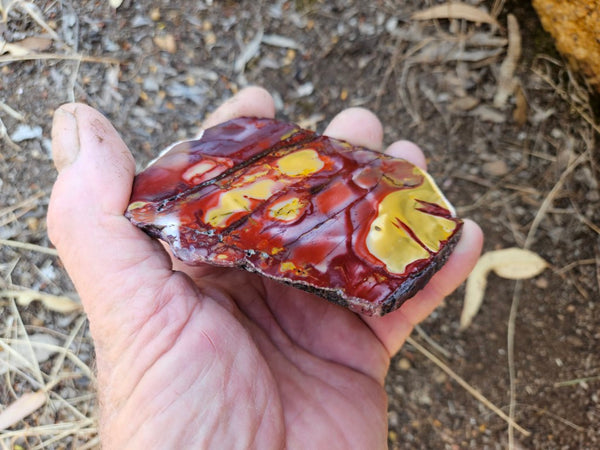 Polished  Mookaite slab MK574