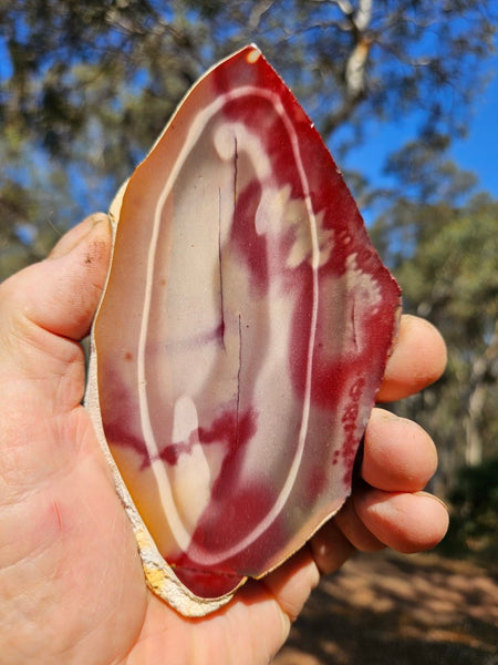 Polished  Mookaite slab MK575