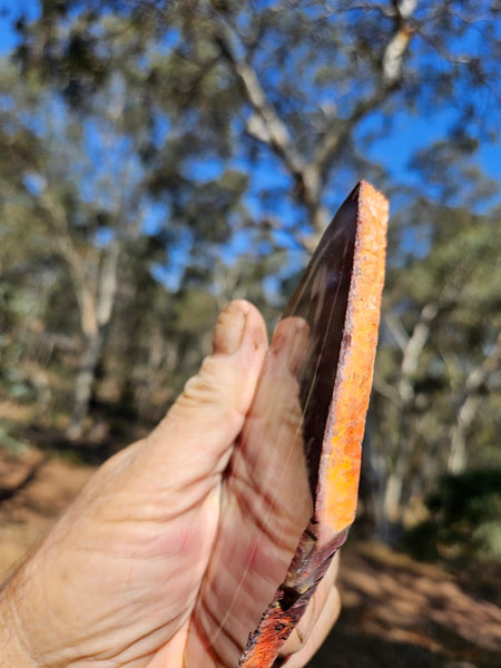 Polished  Mookaite slab MK575