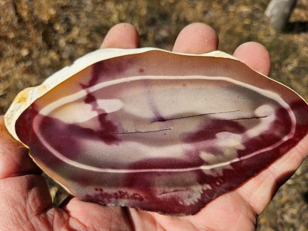 Polished  Mookaite slab MK575
