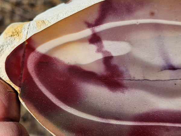 Polished  Mookaite slab MK575