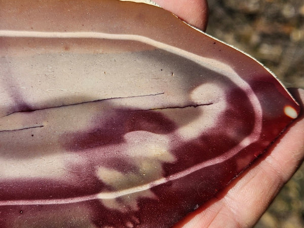 Polished  Mookaite slab MK575