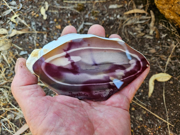 Polished  Mookaite slab MK575