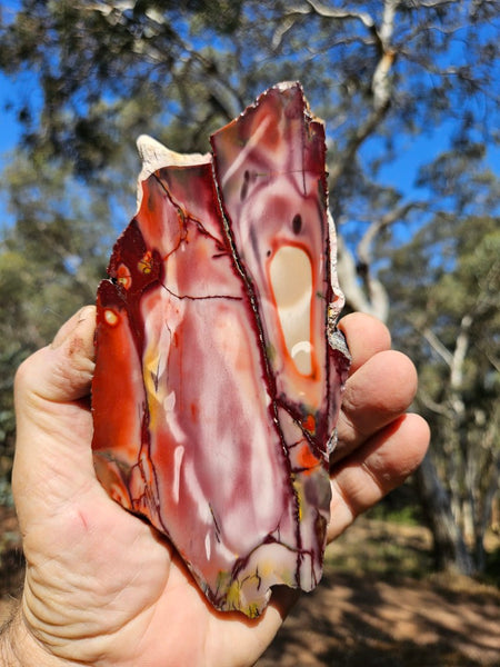 Polished  Mookaite slab MK577