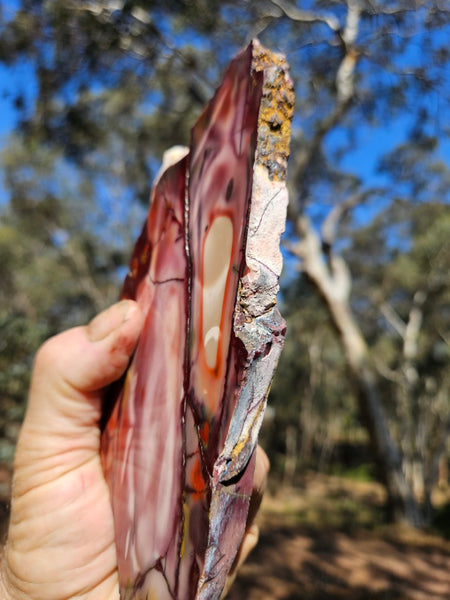 Polished  Mookaite slab MK577