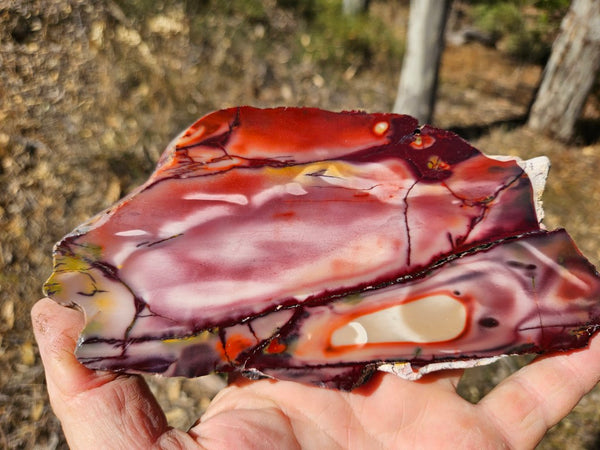 Polished  Mookaite slab MK577