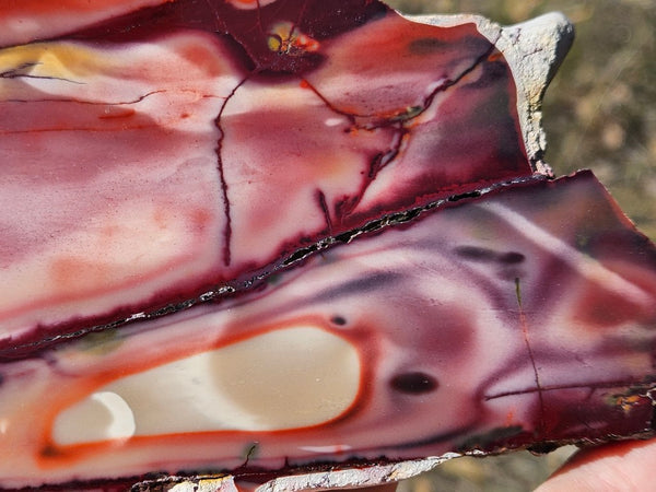 Polished  Mookaite slab MK577