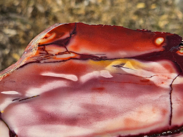 Polished  Mookaite slab MK577