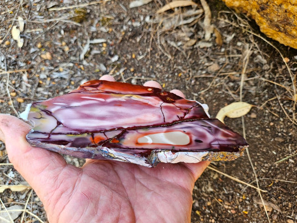 Polished  Mookaite slab MK577