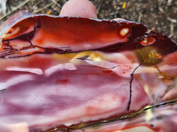 Polished  Mookaite slab MK577