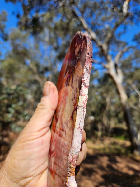 Polished  Mookaite slab MK578