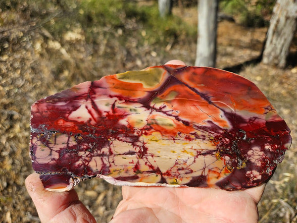 Polished  Mookaite slab MK578