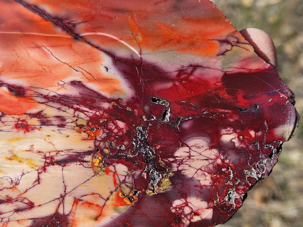 Polished  Mookaite slab MK578