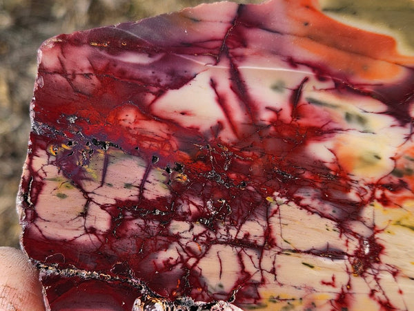 Polished  Mookaite slab MK578