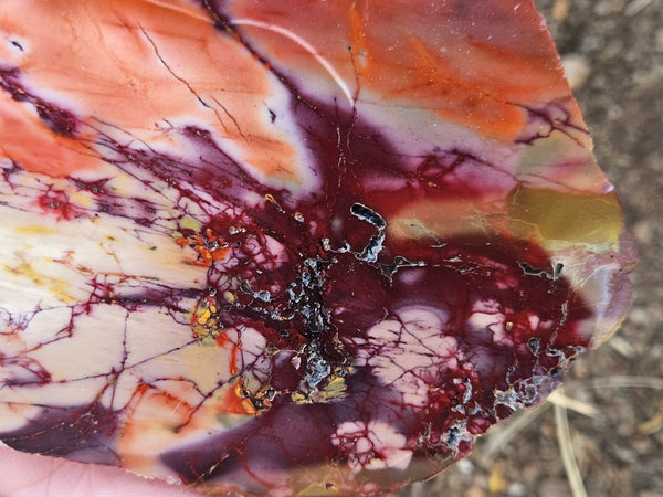 Polished  Mookaite slab MK578