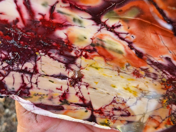 Polished  Mookaite slab MK578