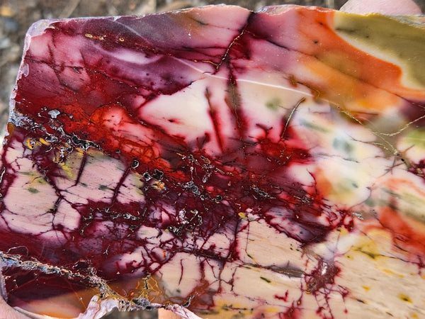 Polished  Mookaite slab MK578