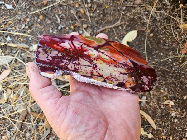 Polished  Mookaite slab MK578