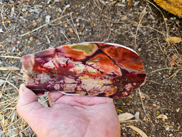 Polished  Mookaite slab MK578