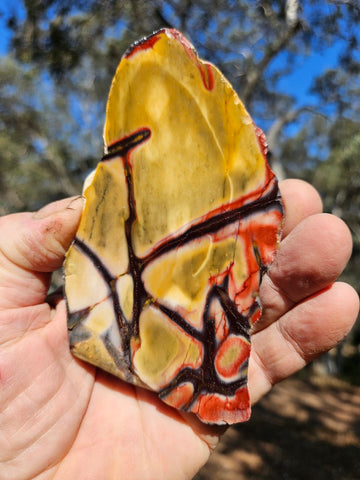 Polished  Mookaite slab MK576