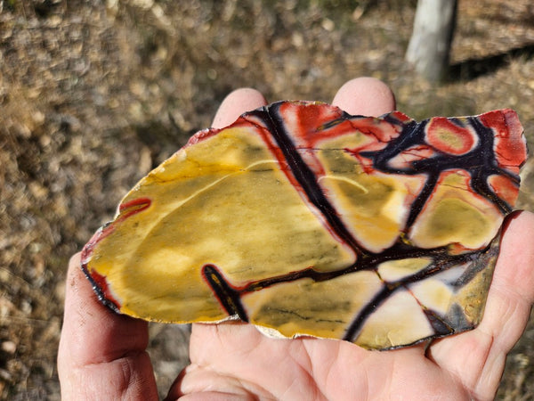 Polished  Mookaite slab MK576