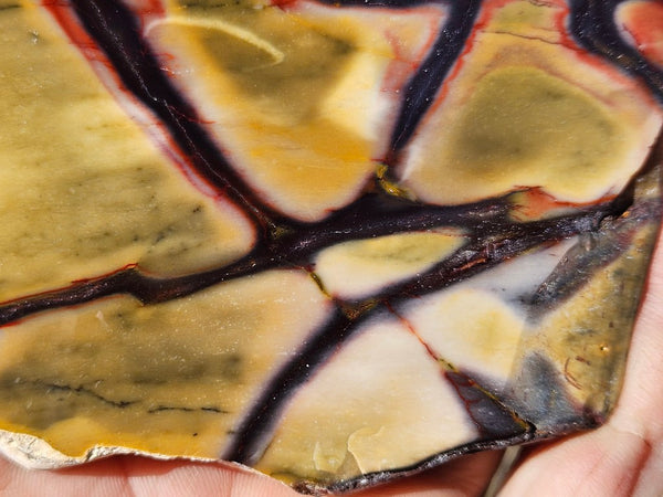 Polished  Mookaite slab MK576