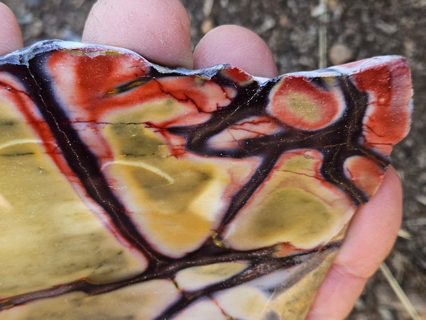 Polished  Mookaite slab MK576