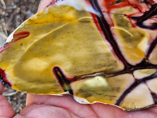 Polished  Mookaite slab MK576