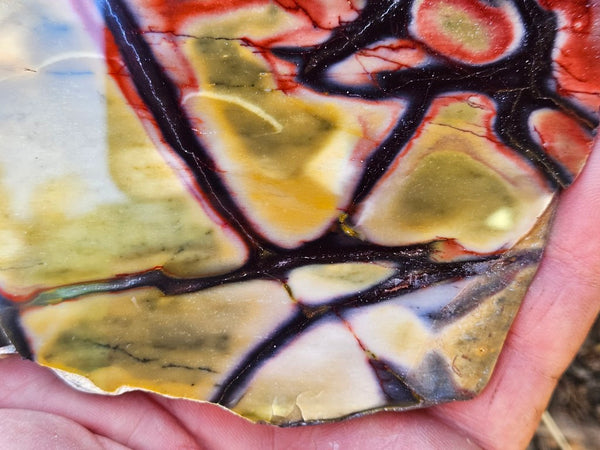 Polished  Mookaite slab MK576