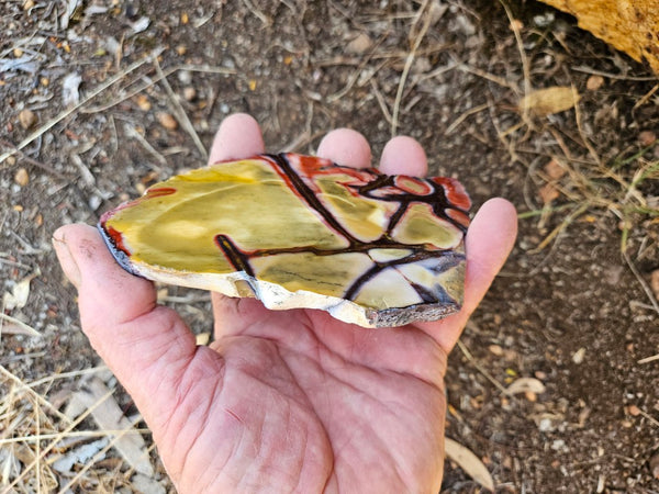 Polished  Mookaite slab MK576