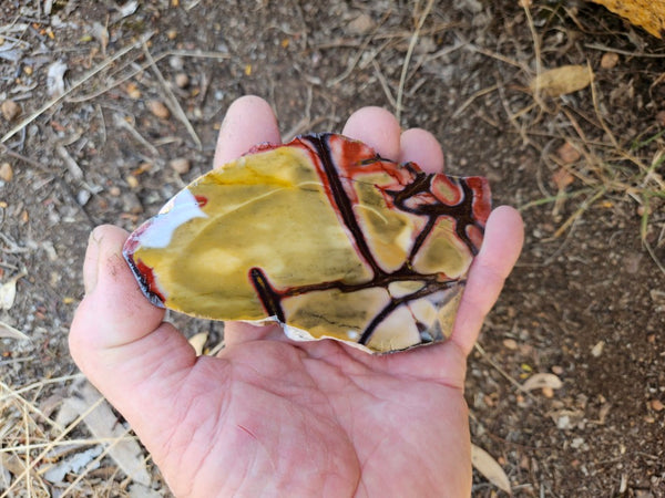 Polished  Mookaite slab MK576